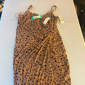 Nine Britton animal print “magic dress”.